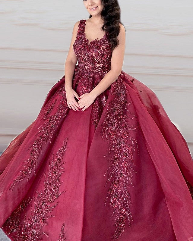 Ball Gown Organza Dresses Lace Embroidery Beaded V Neck Ball Gown Organza Dresses Lace Embroidery Beaded V Neck