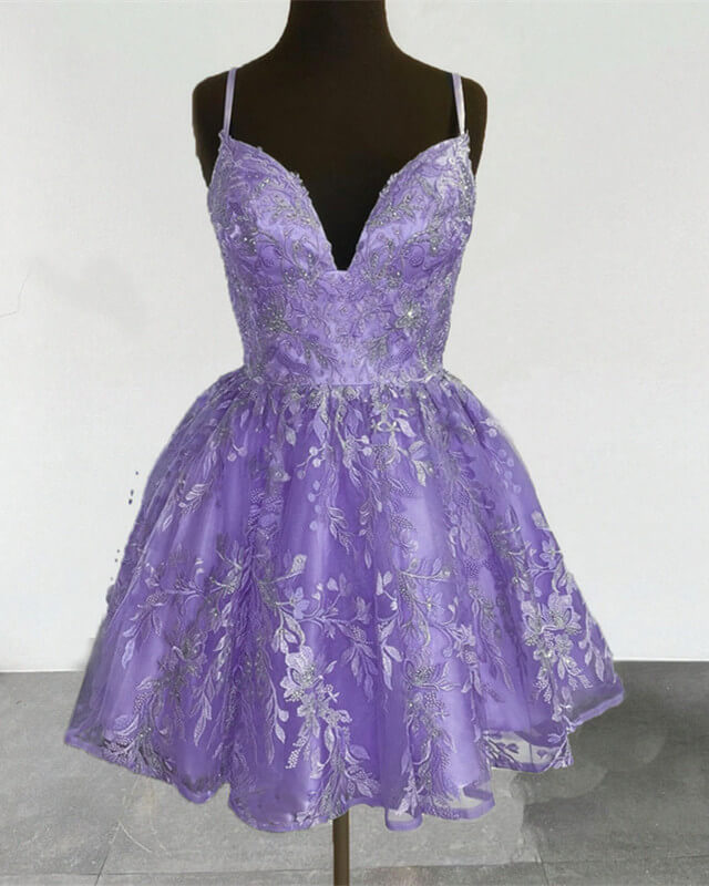 Short A-line Spaghetti Straps Lace Embroidery Dress