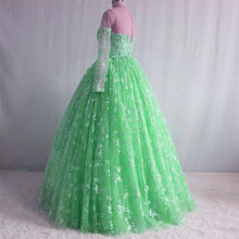 Load image into Gallery viewer, Illusion Neckline Long Sleeves Lace Ball Gowns Quinceanera Dresses