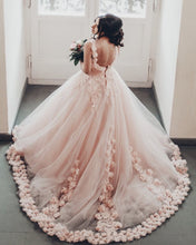 Load image into Gallery viewer, Light Pink Quinceanera Dresses 2020
