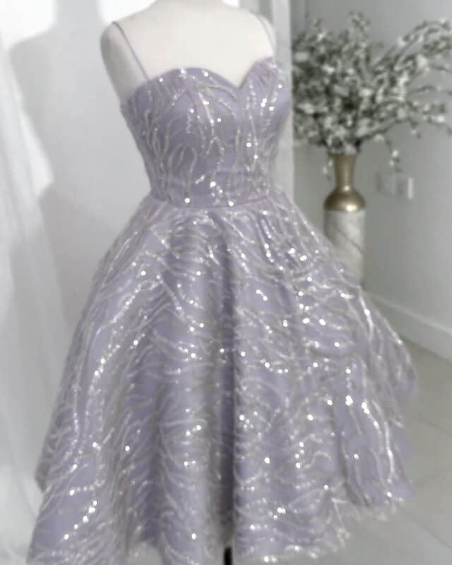 Women's Silver Sparkly Homecoming Dress 2024 – alinanova