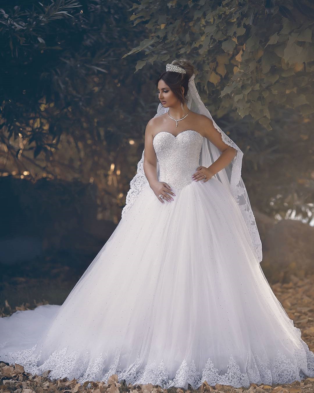 Bling Bling Sweetheart Drop Waist Wedding Princess Dresses Lace Appliques Bling Bling Sweetheart Drop Waist Wedding Princess Dresses Lace Appliques