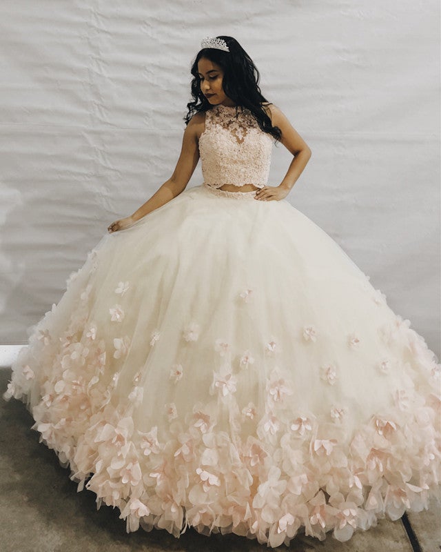 Blush Pink Lace Crop Tulle Two Piece Ball Gowns Quinceanera Dresses –  alinanova