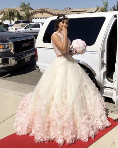 Blush Pink Lace Crop Tulle Two Piece Ball Gowns Quinceanera Dresses-alinanova