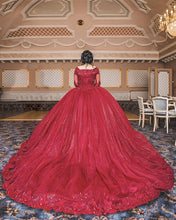 Load image into Gallery viewer, Elegant Ball Gown Quinceanera Dresses Lace Long Sleeves-alinanova
