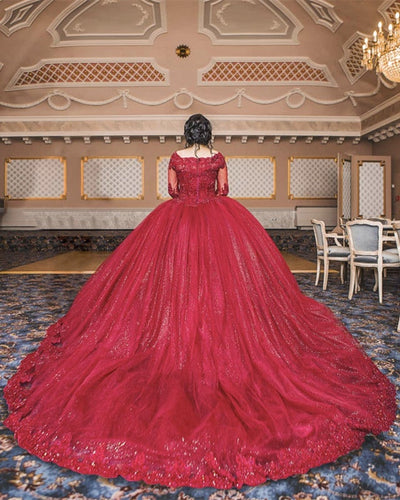 Elegant Ball Gown Quinceanera Dresses Lace Long Sleeves-alinanova