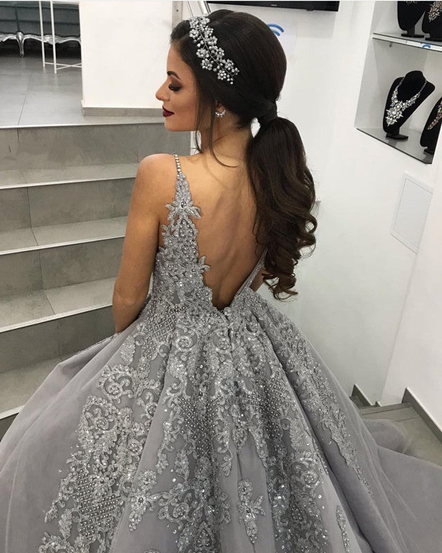 Silver Wedding Dress Lace Embroidery V Neck Ball Gowns Elegant – alinanova