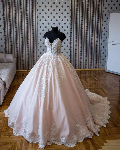 Strapless Wedding Ball Gown Dresses Lace Embroidery-alinanova
