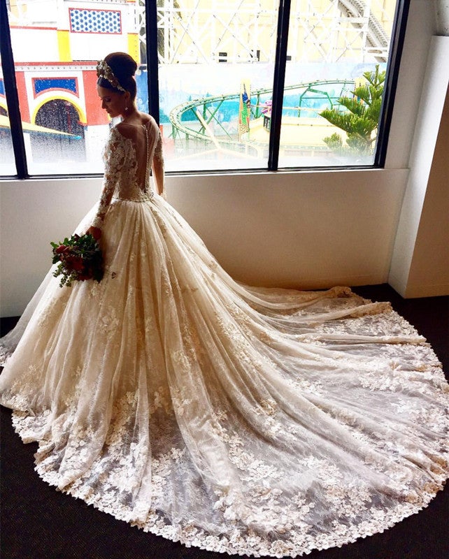 Vintage Lace Wedding Dresses Long Sleeves Ball Gowns alinanova Vintage Lace Wedding Dresses Long Sleeves Ball Gowns alinanova